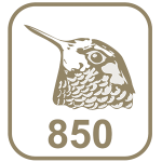 Marca platina 850 cabeça de beija-flor